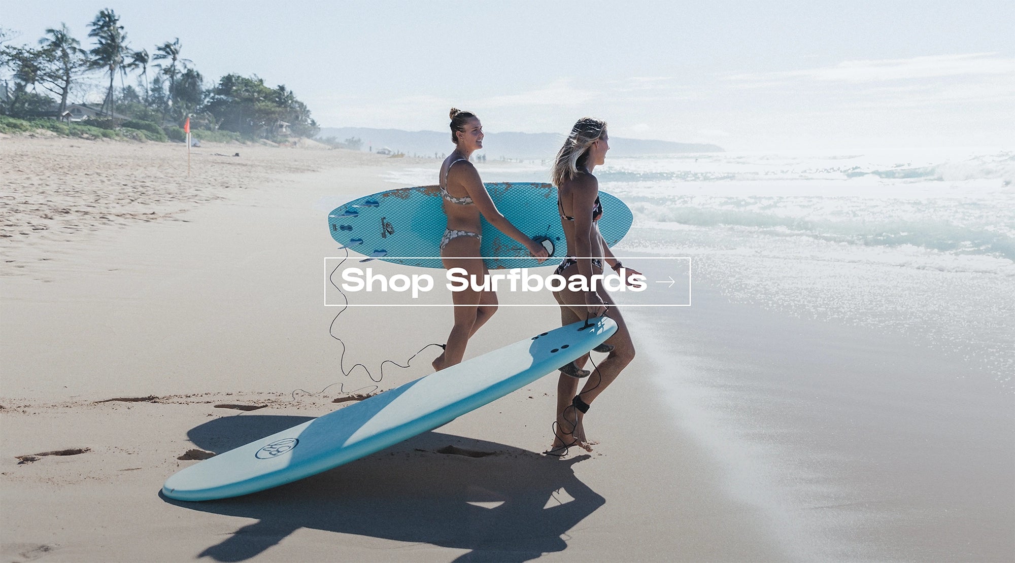 BZ Pro Boards® | Since 1971 | Official Store® BZ Pro Boards® | Since 1971 | Official Store®